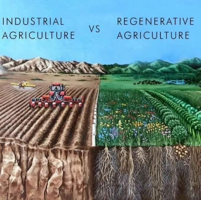 The meme is a visual comparison between "Industrial Agriculture" and "Regenerative Agriculture". The left side of the image shows a large, industrialized farm with a tractor and rows of crops, while the right side depicts a lush, diverse landscape with a variety of plants and animals. The text "Industrial Agriculture" and "Regenerative Agriculture" are written above each side, highlighting the contrast between these two approaches to farming.